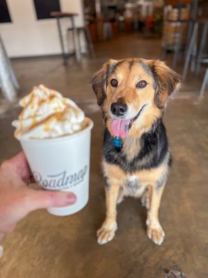 Roadmap Brewing Co. by null