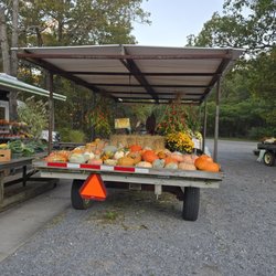 Pumpkin Patch Farm Stand - Pumpkin