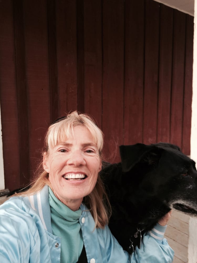 LAURIE’S DOG WALKING 15 Photos 27778 1/2 Parker Rd, Castaic