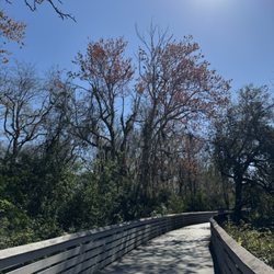 Brevard Zoo Linear Park - One of many wood bridges over wetlands