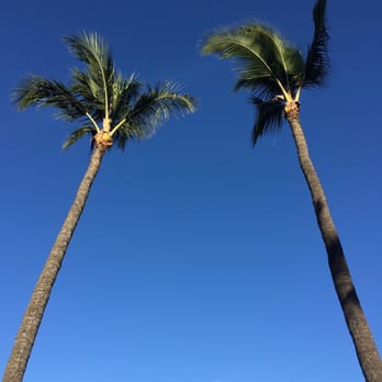 Polo Beach Club - Resorts Near Me - Wailea, Hawaii