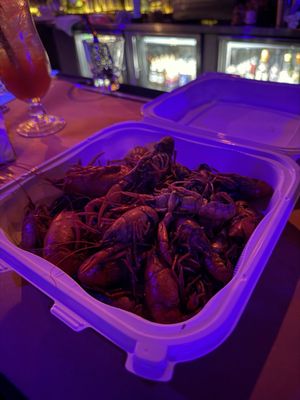 Risky Business by null