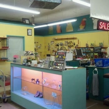 Exotic Tropicals - Birds, reptiles, hamsters - Pet Stores Near Me - Cookeville, Tennessee Exotic Tropicals - Birds, reptiles, hamsters - Pet Stores Near Me - Cookeville, Tennessee