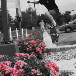 Fat Daisy Skateboard Company - Skate pictures