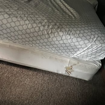 Moonrise Resort - Dry blood stained on box spring and mattress - Resorts Near Me - Floral City, Florida Moonrise Resort - Dry blood stained on box spring and mattress - Resorts Near Me - Floral City, Florida