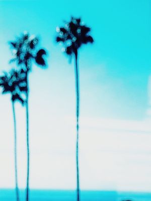 Del Mar by null