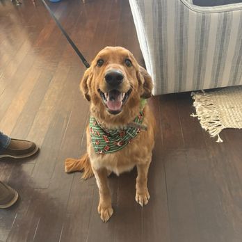Waggin' Tails Dog Wash - Pet Groomers Near Me - Gilbert, Arizona