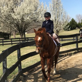 Thousand Hills Riding Stable - 5 year old Addison riding Scarlett at a horse show - Horseback Riding Near Me - Delaplane, Virginia Thousand Hills Riding Stable - 5 year old Addison riding Scarlett at a horse show - Horseback Riding Near Me - Delaplane, Virginia