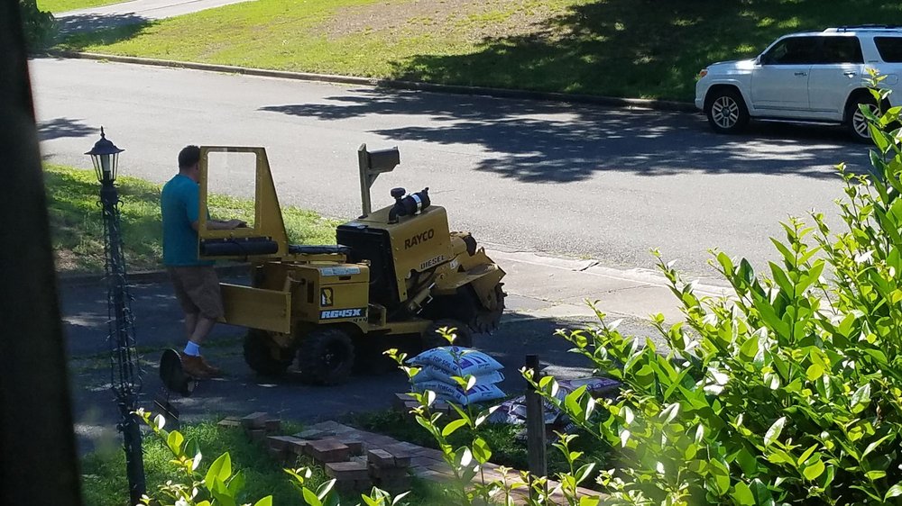 Stump Guy - tree service in Richmond, VA