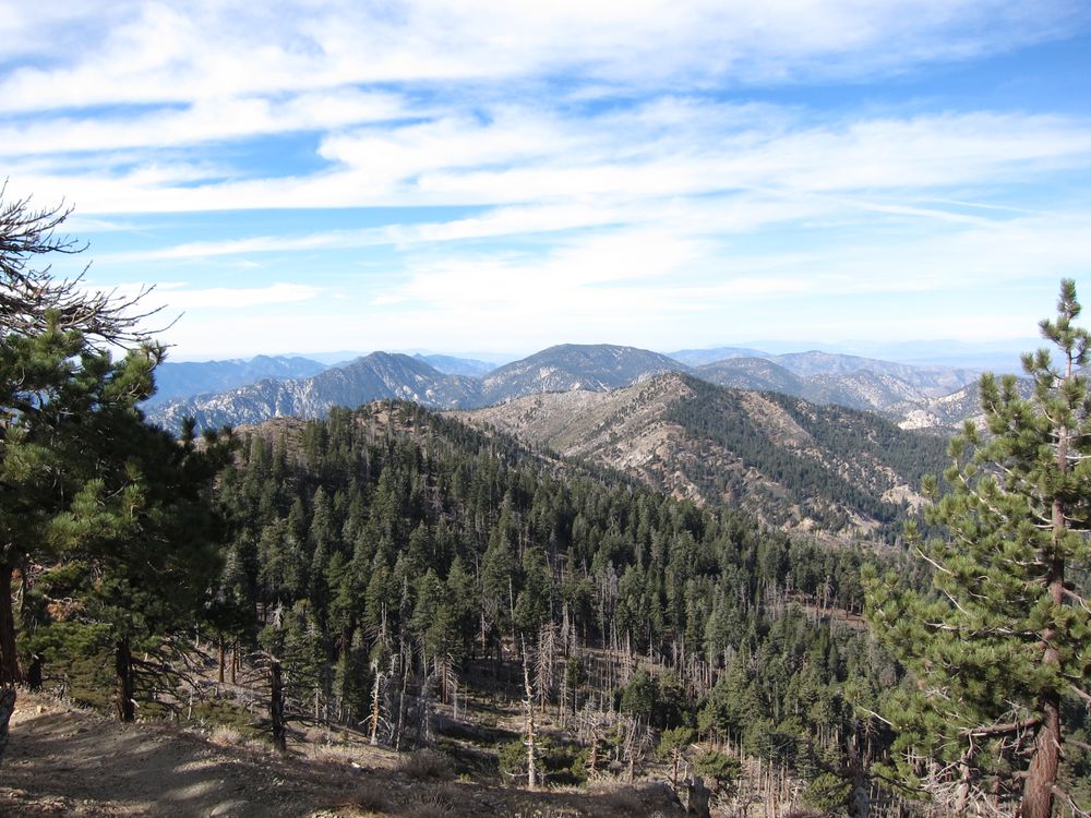 DAWSON GAP TO THROOP PEAK Updated August 2024 19 Photos Littlerock, California Hiking Yelp