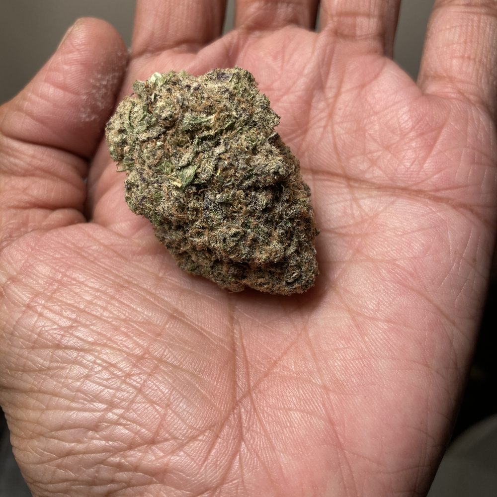 Forest City Green - My picture does not do this justice!! Looks and smells amazing...plus a wonderful high!! - Cannabis Dispensaries Near Me Forest City Green - My picture does not do this justice!! Looks and smells amazing...plus a wonderful high!! - Cannabis Dispensaries Near Me