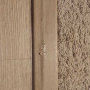 Trivic Remodelers - The nails are showing through this $3200 job. This company  is bad business - General Contractors Near Me - Chicago, Illinois