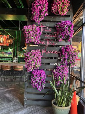 Papi Ricko Latin Kitchen & Lounge by null