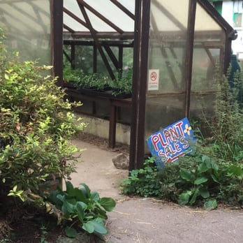 St Werburgh's City Farm Cafe - Greenhouse in the farm neighbouring the cafe - Cafes Near Me - Bristol, BST St Werburgh's City Farm Cafe - Greenhouse in the farm neighbouring the cafe - Cafes Near Me - Bristol, BST