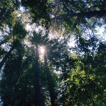 Huddart County Park - Parks Near Me - Woodside, California Huddart County Park - Parks Near Me - Woodside, California