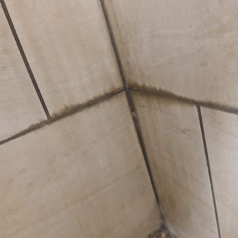 Speedway - Bathroom wall - Gas Stations Near Me - Anna, Ohio Speedway - Bathroom wall - Gas Stations Near Me - Anna, Ohio