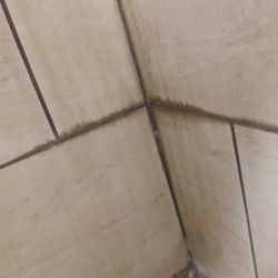 Speedway - Bathroom wall