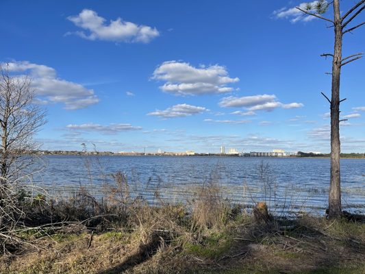 Dr. P. Phillips Community Park by null