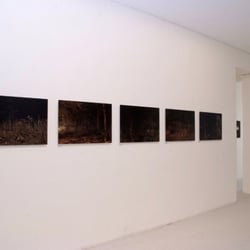 Galerie du Jour Agnès b.