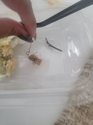 Castañeda's Mexican Food by null