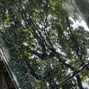 Aaron Auto Glass - the crack I'm pointing too is where she said a rock hit but if you look it's like that all around the edges. - Windshield Installation & Repair Near Me - Chicago, Illinois