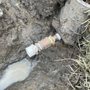 Photo of A + Lawn Sprinkler System