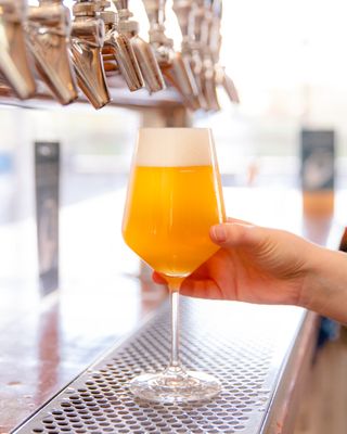 Four Winds Brewing Co. Taproom & Taco Shop by null