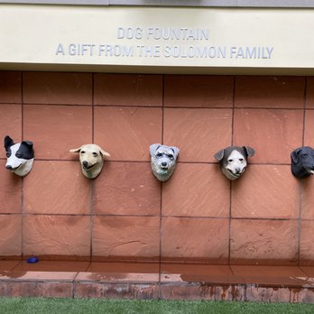 Peninsula Humane Society & SPCA - Doggo fountain - Animal Shelters Near Me - Burlingame, California Peninsula Humane Society & SPCA - Doggo fountain - Animal Shelters Near Me - Burlingame, California