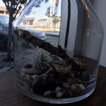 Bambu - Cute decor - Juice Bars & Smoothies Near Me - Millbrae, California