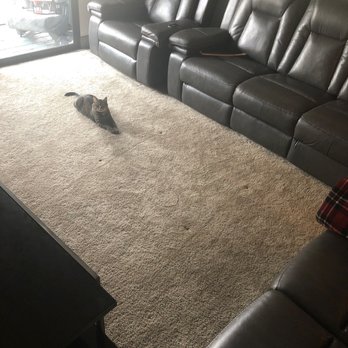 Evergreen Carpet Care - Picture of where leftover residue was suppose to be. Don't see any :-) and my step car Rilee - Carpet Cleaning Near Me - Reno, Nevada Evergreen Carpet Care - Picture of where leftover residue was suppose to be. Don't see any :-) and my step car Rilee - Carpet Cleaning Near Me - Reno, Nevada