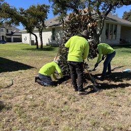 Careful planting techniques! Careful planting techniques!