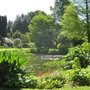 Photo of Beth Chatto Gardens