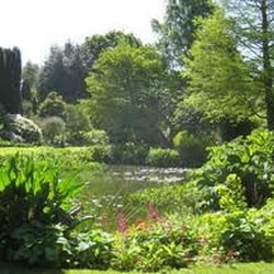 Beth Chatto Gardens