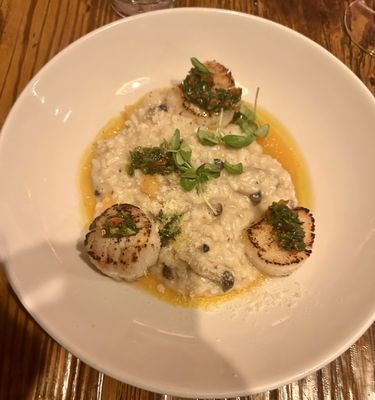 The Port Hunter by null