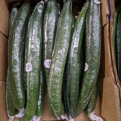 E & J Produce