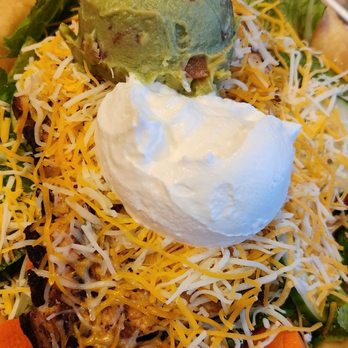 The Drunken Taco - Taco salad with grilled chicken....HUGE! - Tacos Near Me - Gulfport, Florida