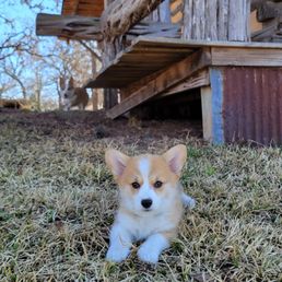 C.C. posing infront of cabin