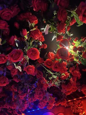 Rosebar Lounge by null