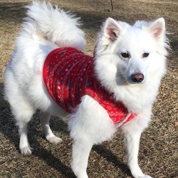 EZ Breezy Dog Grooming - Pet Groomers Near Me - Bradenton, Florida EZ Breezy Dog Grooming - Pet Groomers Near Me - Bradenton, Florida
