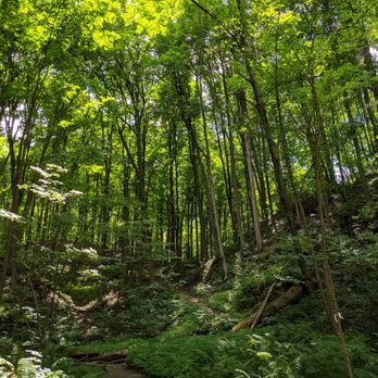 Thornton Bales Conservation Area - Hiking Near Me - King, Ontario