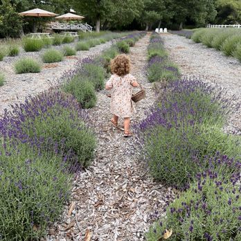 Frog Creek Farm Ojai - Pick Your Own Farms Near Me - Ojai, California
