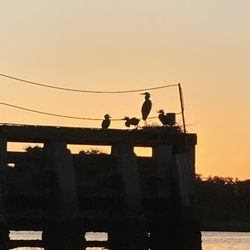 Neat Livin Kayak Rentals
