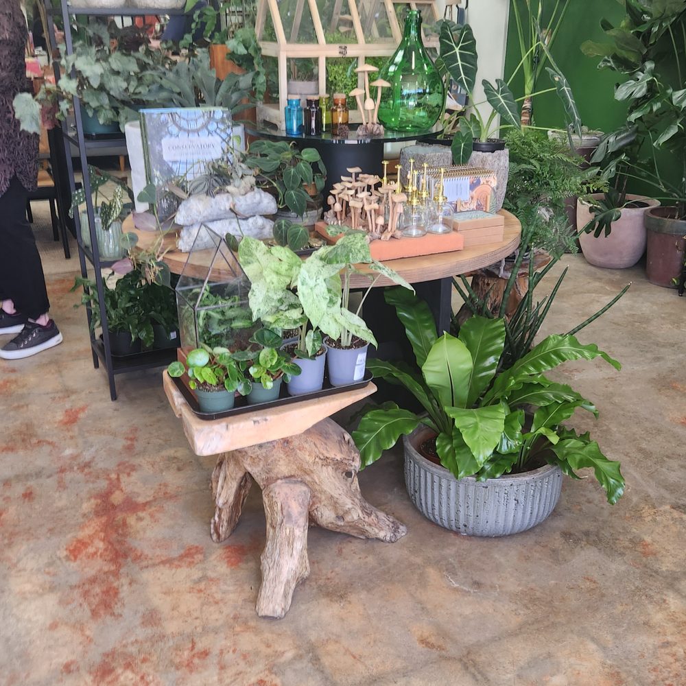 Deeply Rooted - Gift Shops Near Me - Camarillo, California