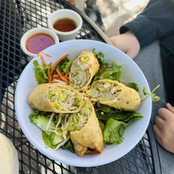Thuy's Noodle Shop - Fried roll salad (forgot the name)