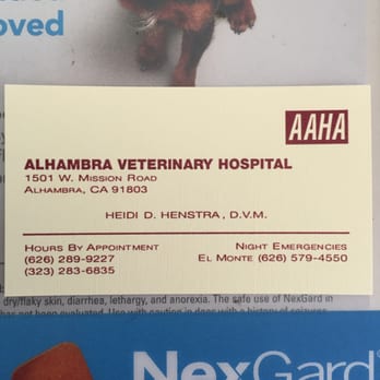 Henstra Heidi D DVM - She's awesome! - Veterinarians Near Me - Alhambra, California