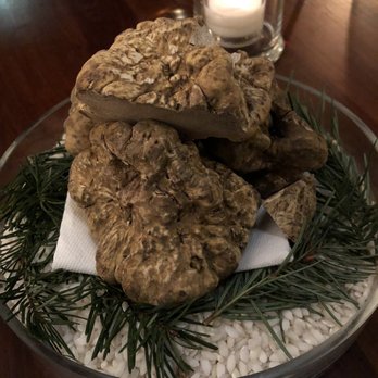 Altura - White Truffles! - Italian Near Me - Seattle, Washington
