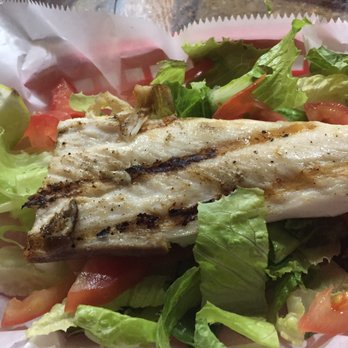 Keg South - Mahi "salad" - Bars Near Me - Pinecrest, Florida Keg South - Mahi "salad" - Bars Near Me - Pinecrest, Florida