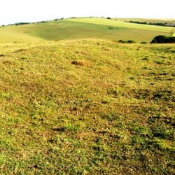Combe Hill Neolithic Camp - A section of one of the ditches (centre) and banks (to the left) of the causewayed enclosure. Built c. 3,400BC.