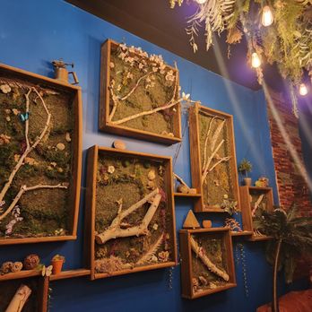 The Salt Escape - wall art - Halotherapy Near Me - Arlington Heights, Illinois The Salt Escape - wall art - Halotherapy Near Me - Arlington Heights, Illinois