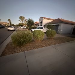 Anthony Landscaping